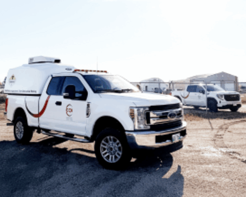 imageedit_14_3420205168